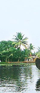 alleppey houseboat, alleppey houseboats