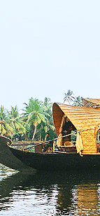 Alleppey Backwater Cruise
