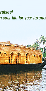 Backwater Cruise alleppey