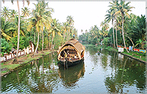Backwater Kerala